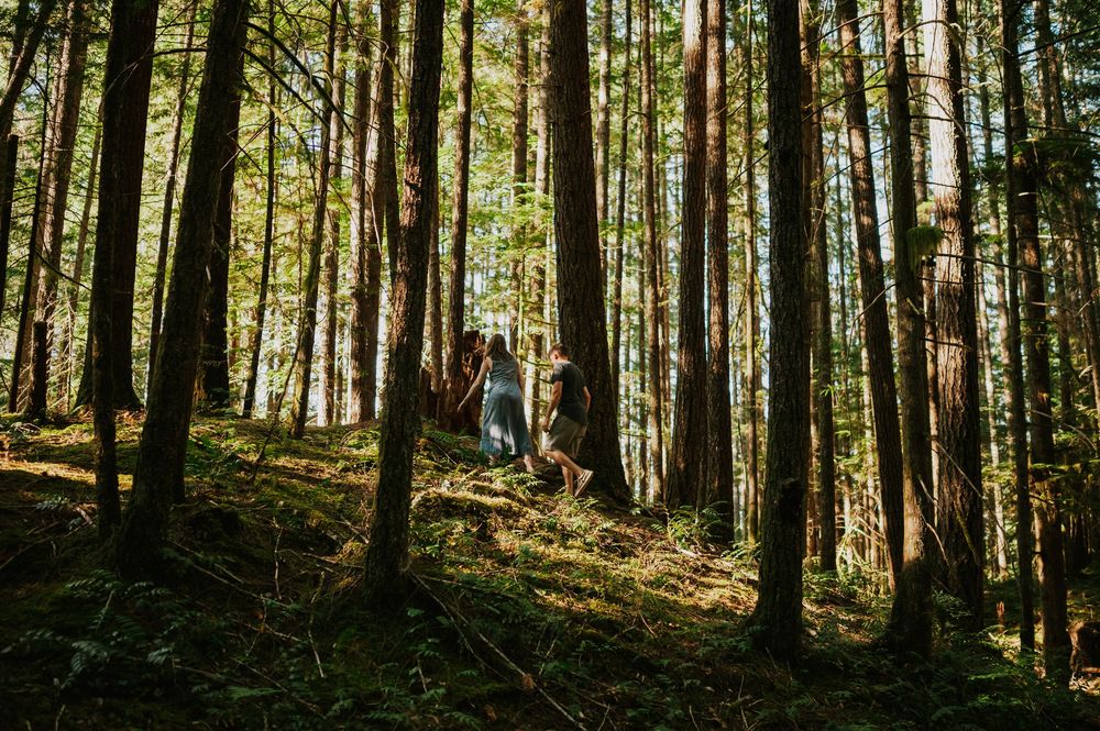 Adventurous couple photographer photoshoot of couple in Cumberland Forest Vancouver Island engagement session walking through golden trees