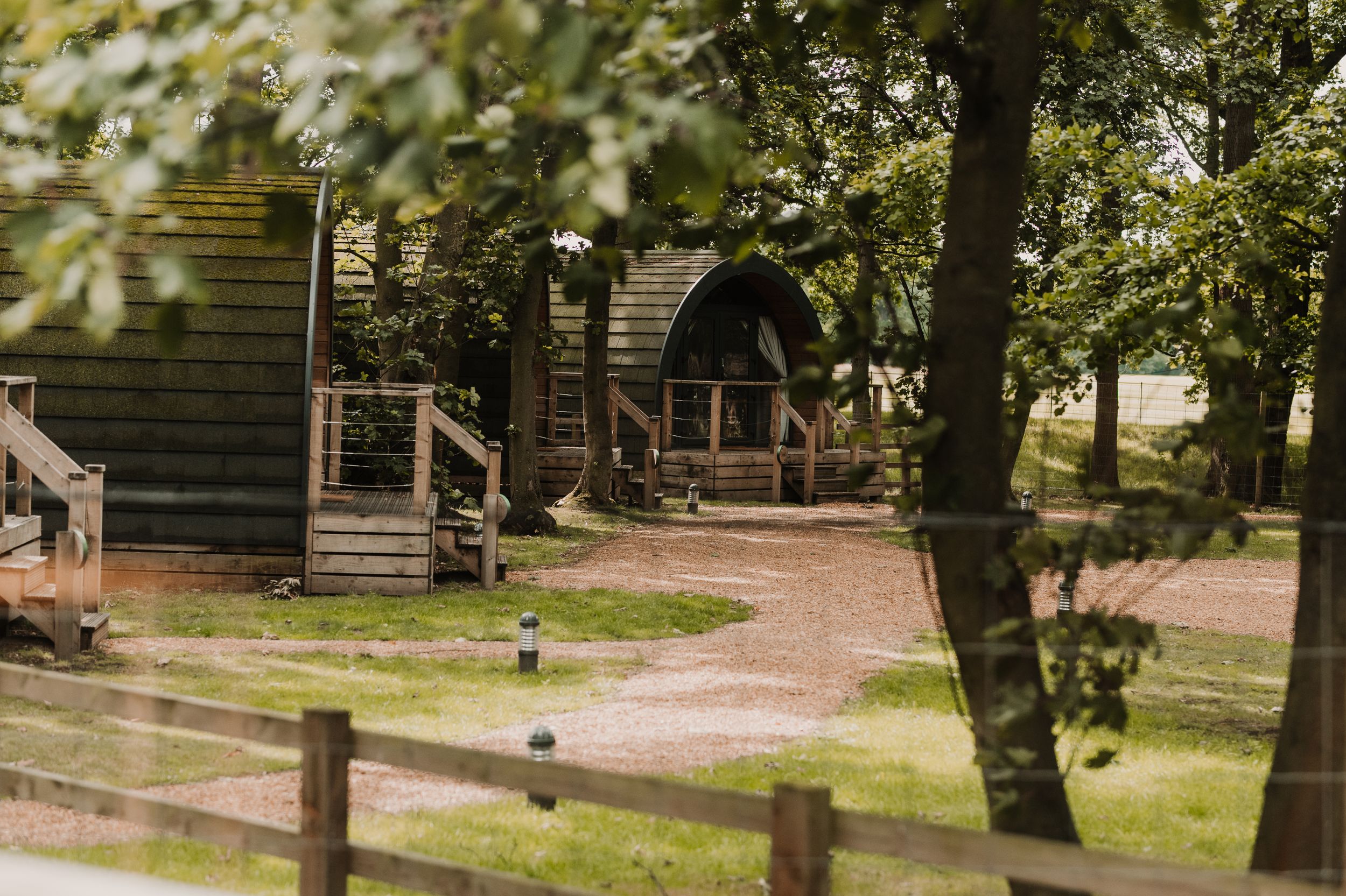 A rustic wooden cabin sits nestled among trees along a winding dirt path in a peaceful forest setting at Merrydale Manor