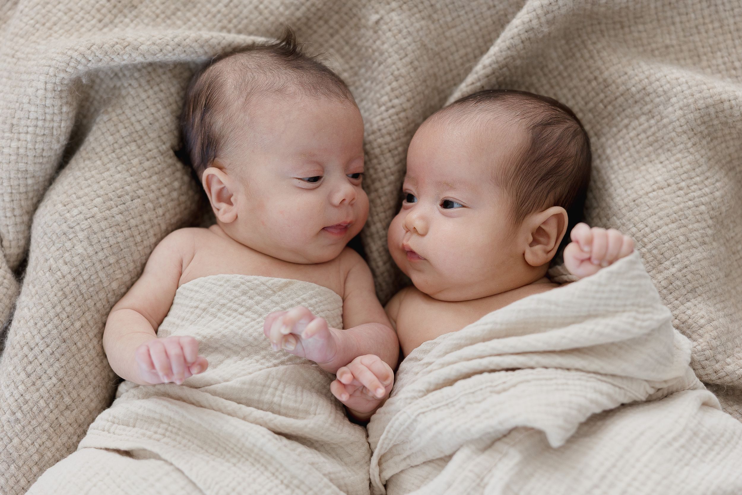 Newborn photos showing twin babies and button nose in Orange County