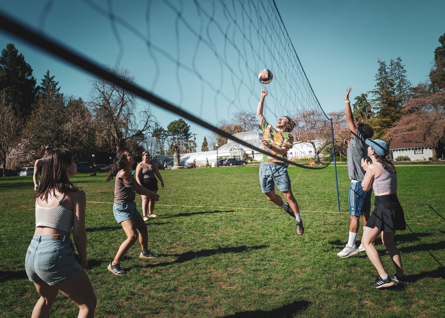 Group of young adults playing outdoor volleyball in a sunny park with a net and green grass.