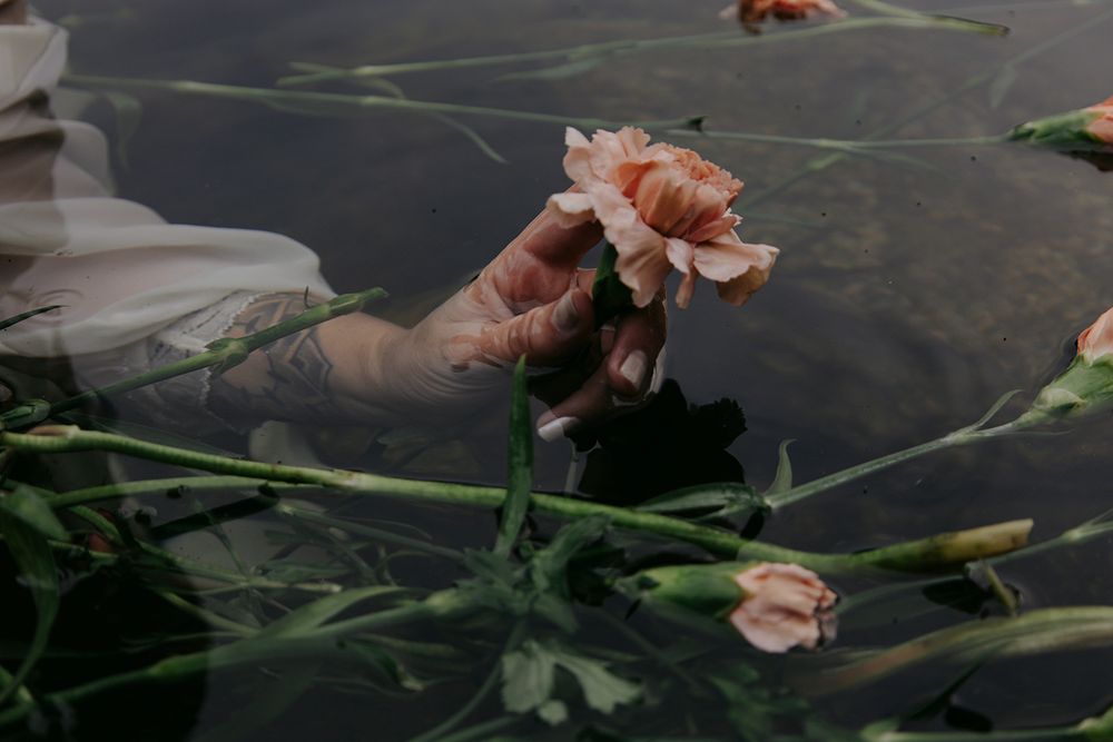 A person in dark water reaches for delicate pink flowers floating on the surface.
