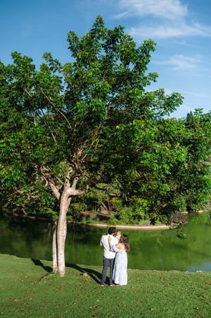 Four sequential photos show a couple walking toward and sitting beneath a large tree by a tranquil lake on a sunny day.
