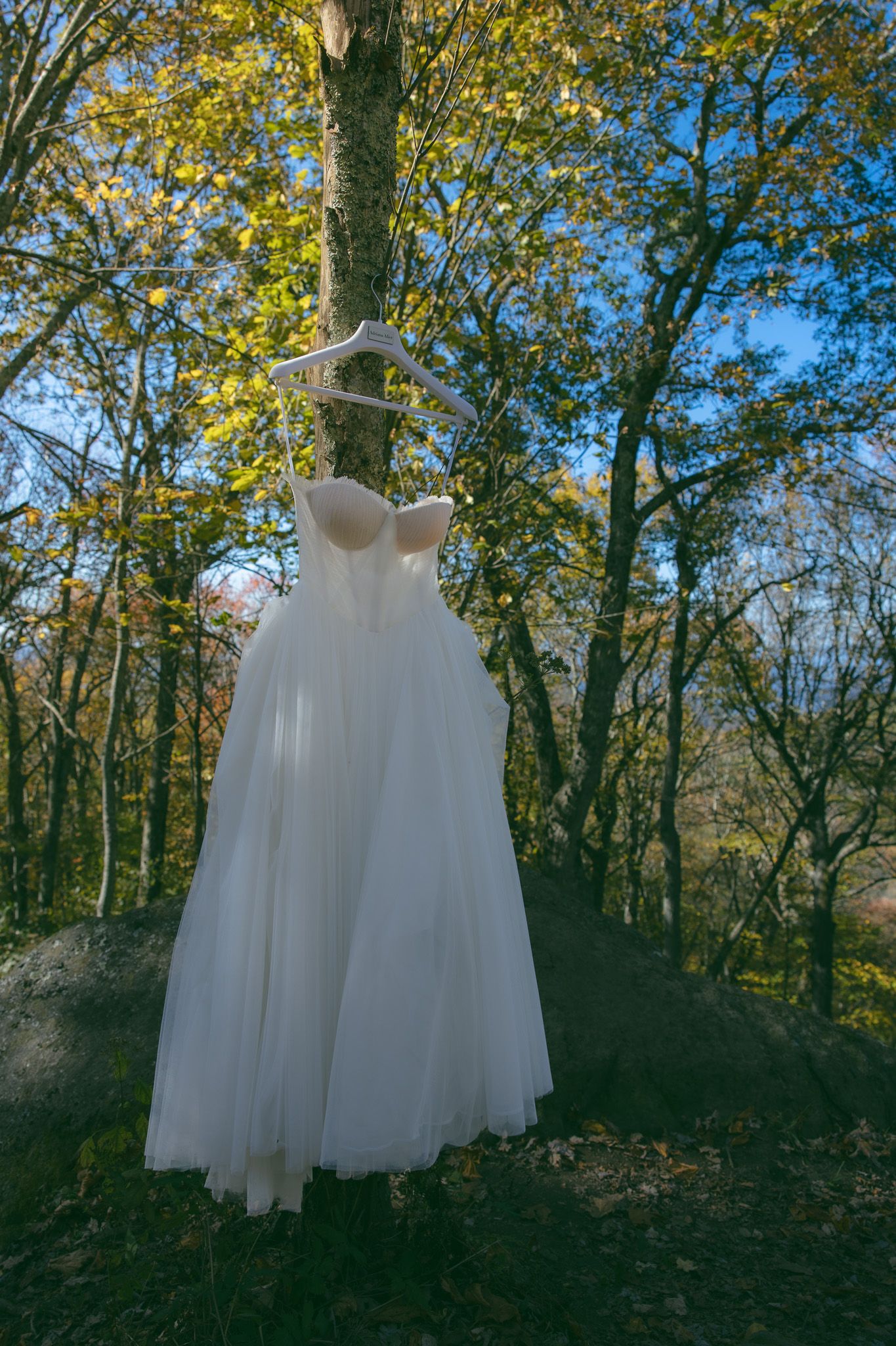 wedding dress hanging in asheville fall trees nc tn elopement romantic moody