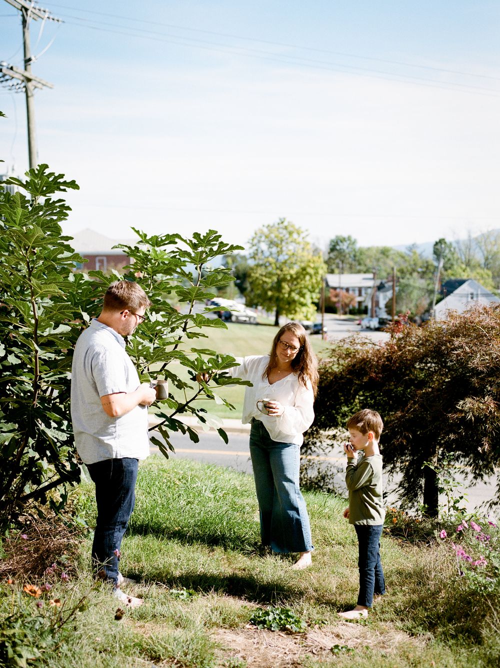 People exploring together outdoors on a bright sunny day near bushes and trees.