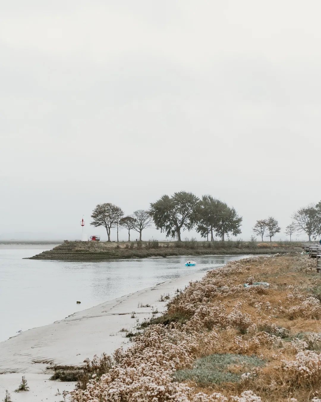 Quiet coastal scene with trees, calm water and a rocky shoreline on an overcast day.