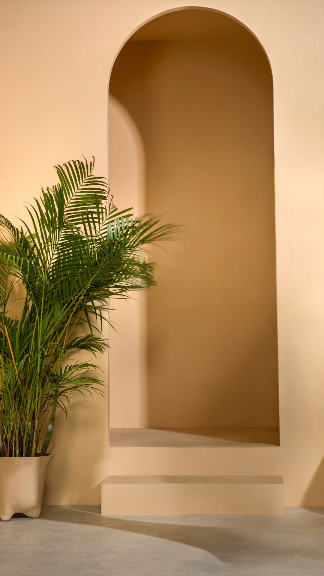 Aesthetic studio setup by Aperture7Studios at fashion photography studio in Delhi, creative shoot space in Kirti Nagar