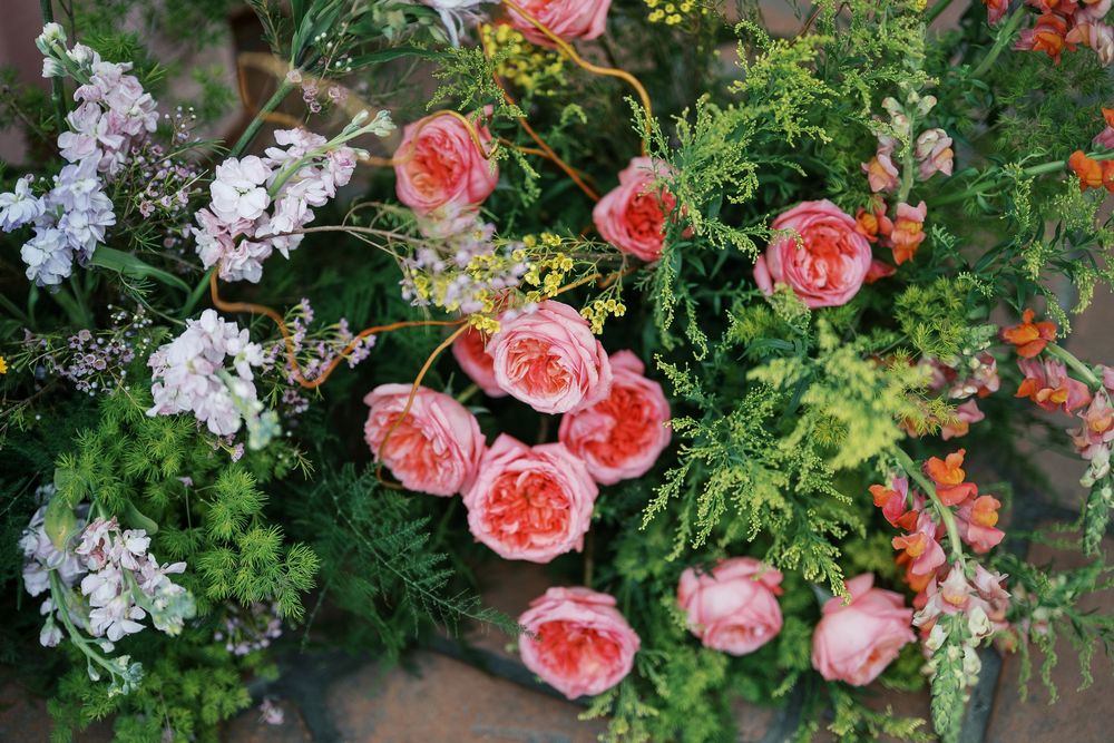 A vibrant garden display featuring coral pink roses and delicate white flowers among lush green foliage.