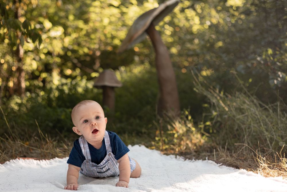 A baby boy crawls on a blanket with giant mushrooms in the back.