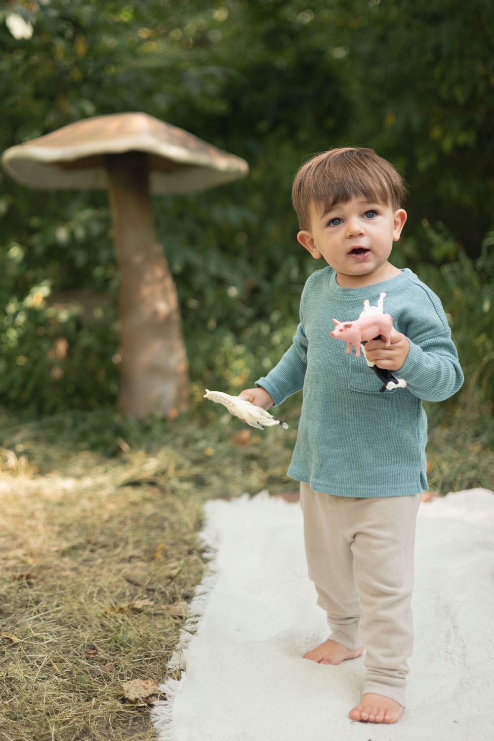 A boy plays with toys on a blanket with a giant mushroom in the back.