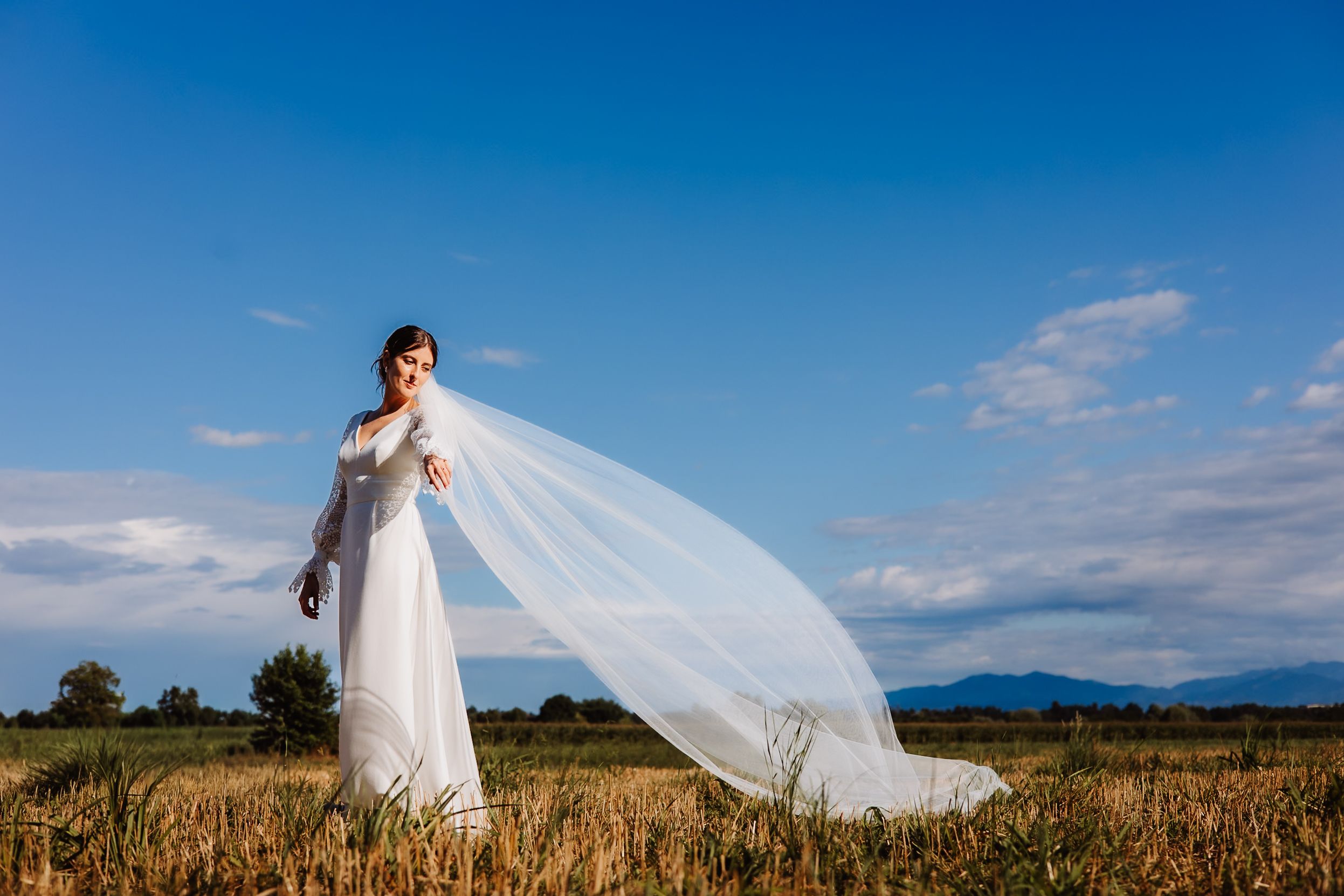 A flowing white wedding veil billows dramatically against a vibrant blue sky over a golden wheat field.
