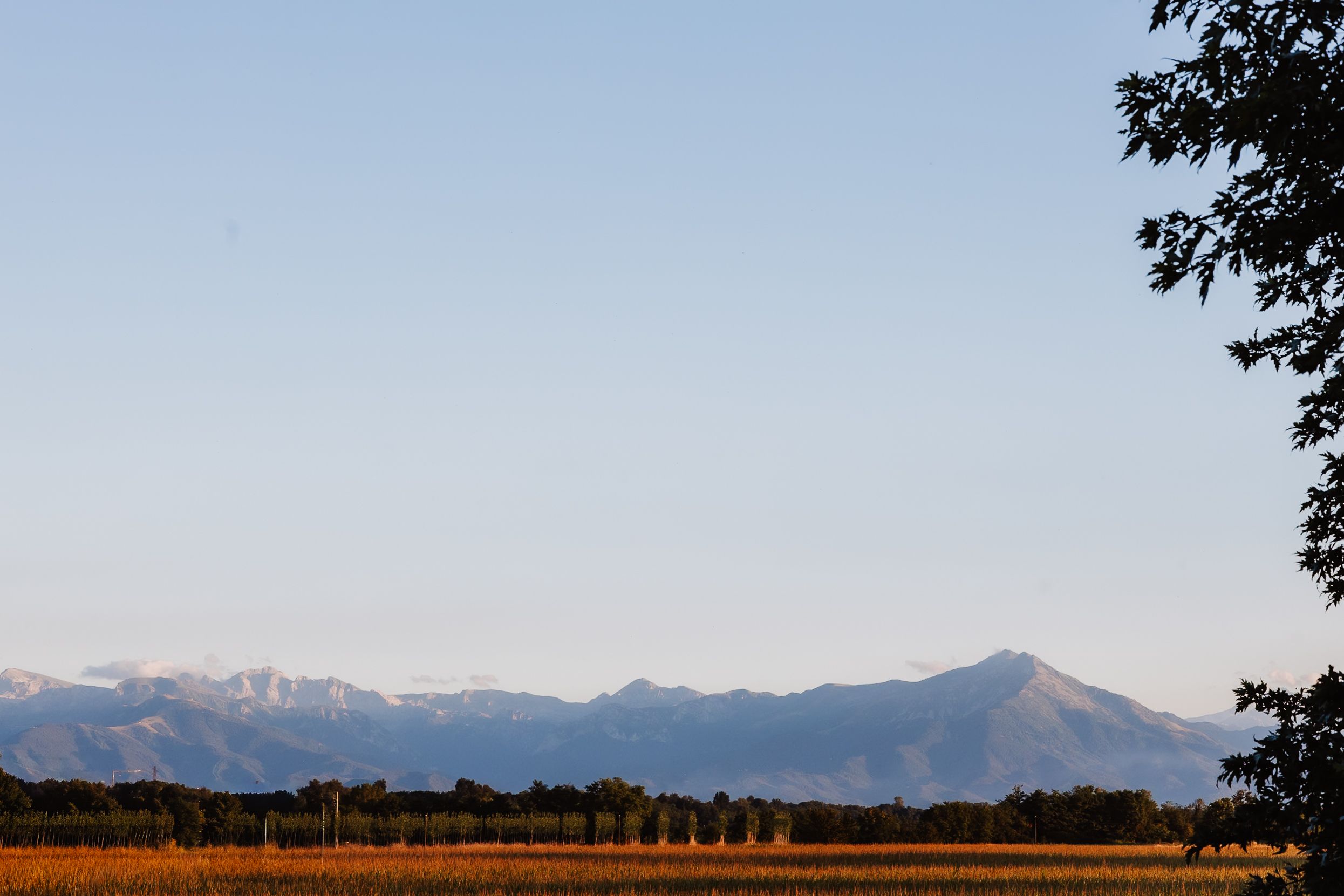 Snow-capped mountain peaks rise against a blue sky with trees silhouetted in the foreground.