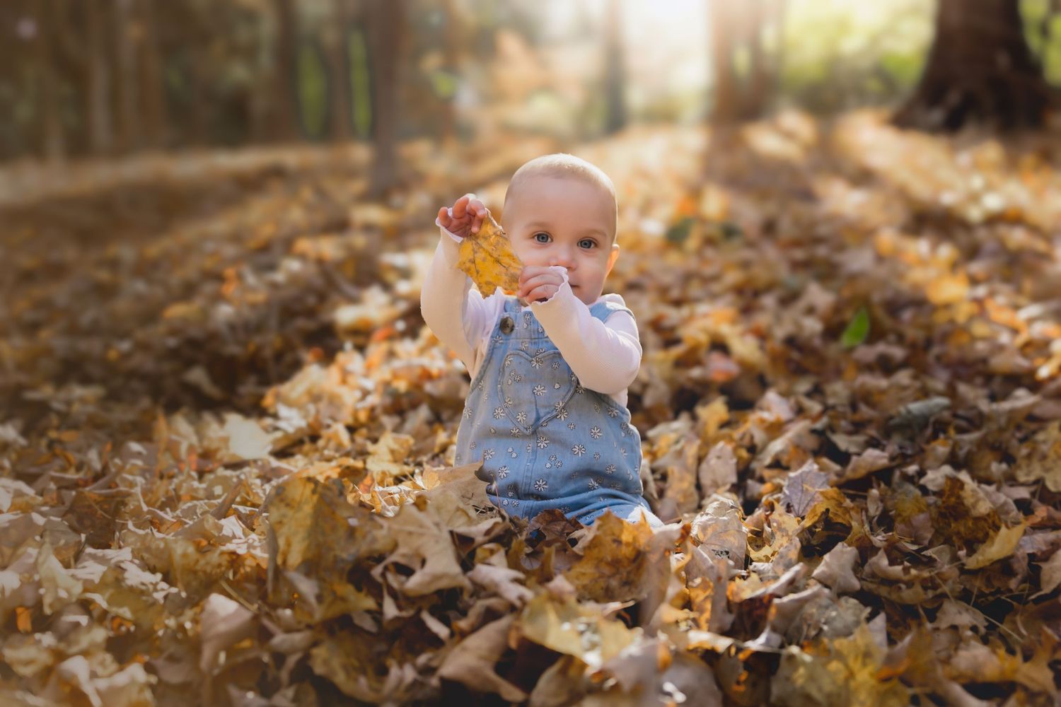 best Long Island outdoor photographer, Long Island fall mini sessions, best Long Island family photographer, Long Island FALL photo shoots