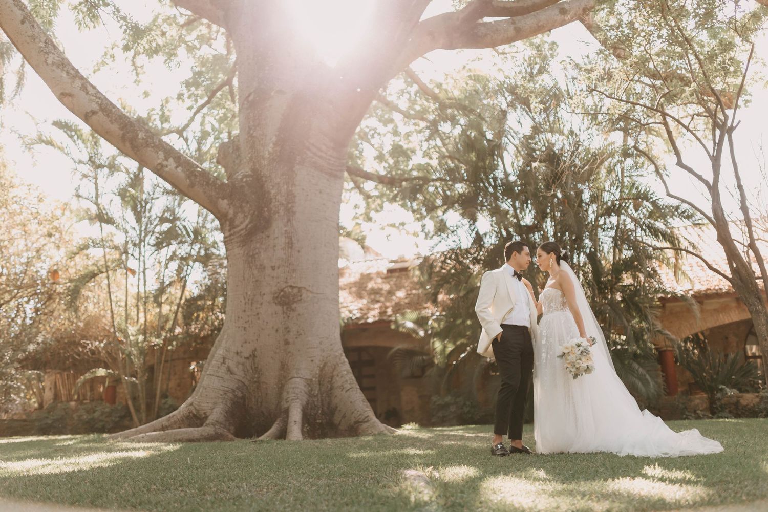 Majestic oak trees frame an outdoor wedding venue at golden hour.
