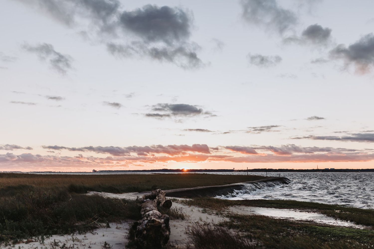 A panoramic series of coastal landscape photos showing marshlands and ocean views at different times of day.