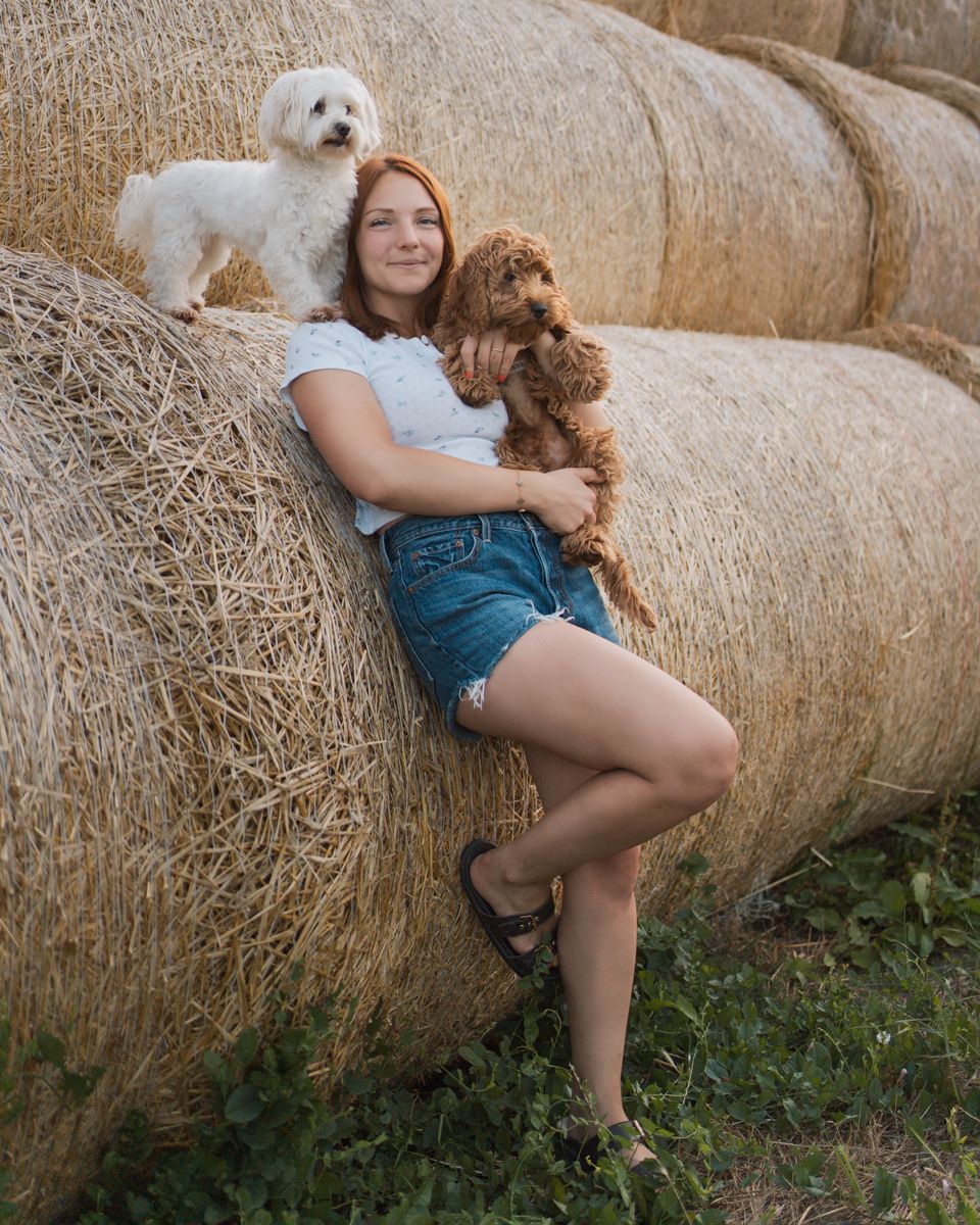 Two small dogs posing with their owner against a rustic hay bale backdrop in summer in Sydney