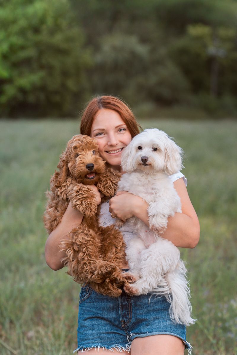 Two adorable dogs, a brown Cockapoo and white Maltese, being held together in a grassy outdoor setting during a canine photoshoot in sydney