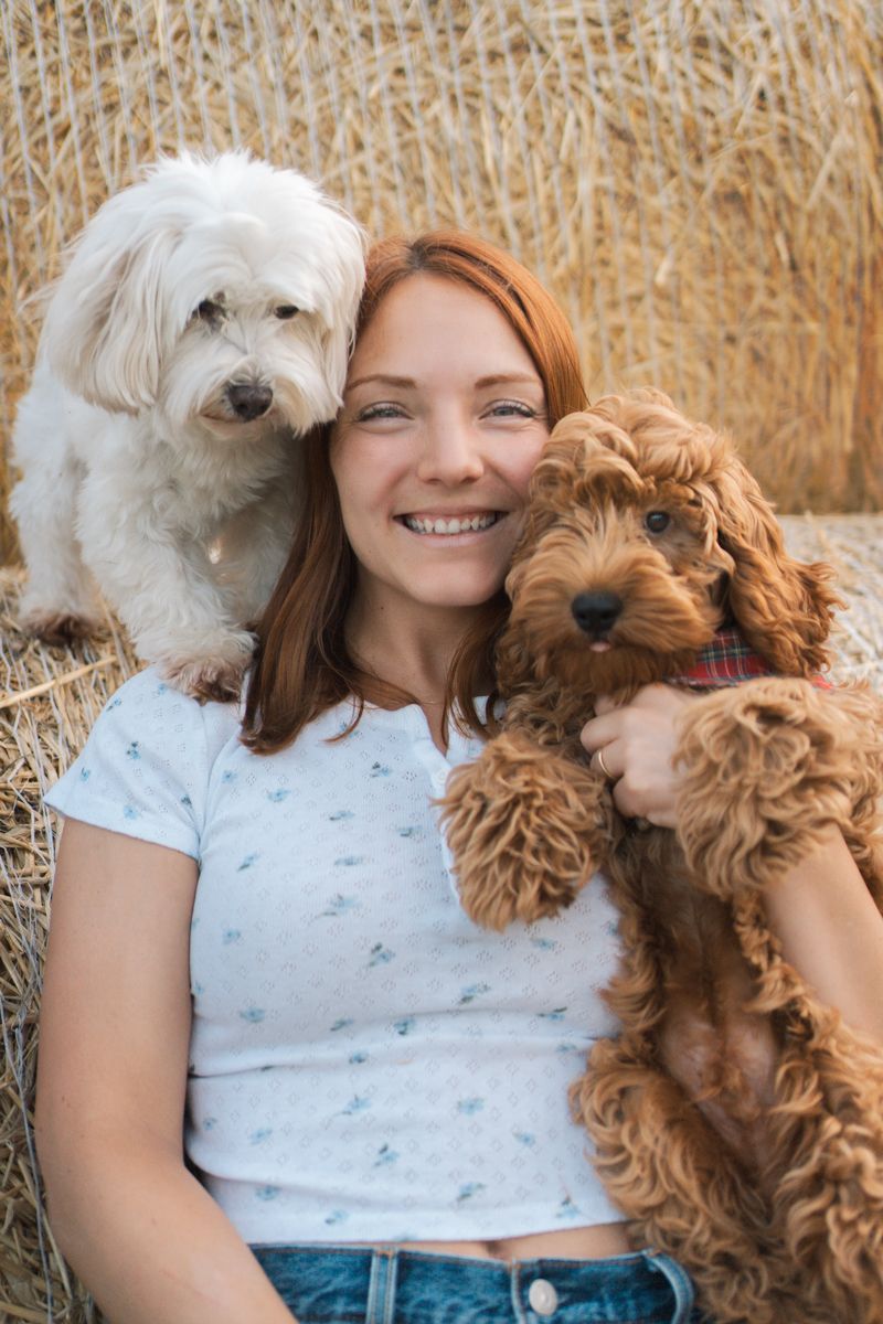 A white and brown Goldendoodle puppy cuddles with a girl in a white floral shirt against a rustic burlap backdrop Sydney photoshoot with dog