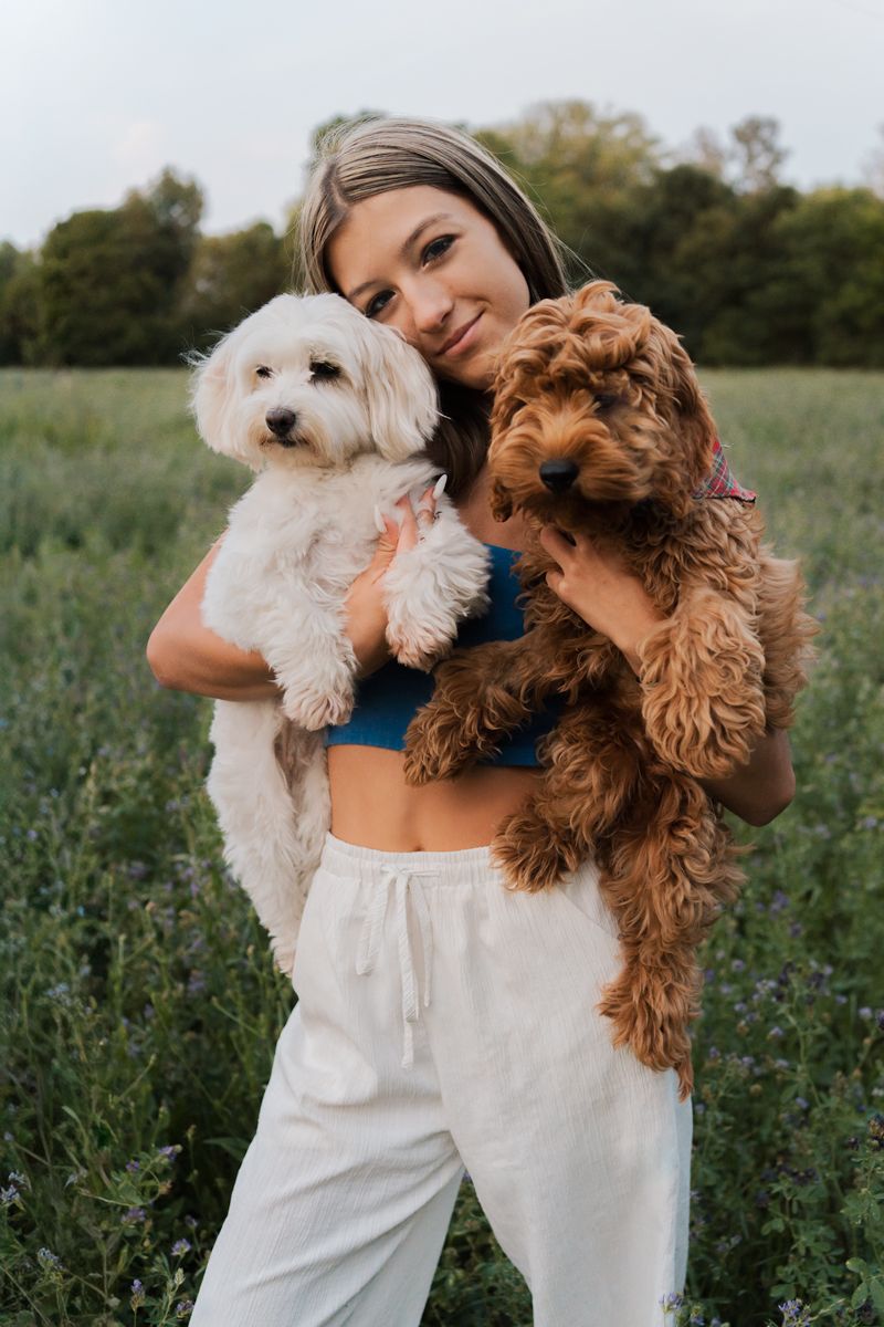 Two fluffy dogs, one brown and one white, being cuddled in an outdoor meadow setting during a photoshoot in Sydney