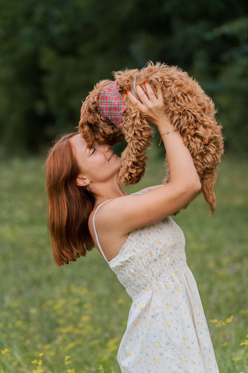 A young girl in a floral dress lifts and plays with a fluffy goldendoodle puppy in a sunny meadow with wildflowers during a photoshoot