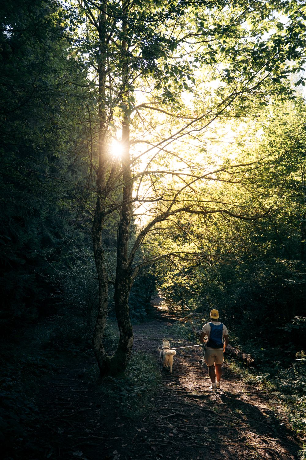 Balade dans la forêt à Pragondran