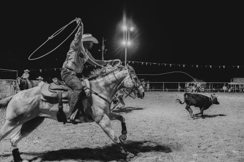 A cowboy on horseback swings a lasso while chasing a calf in a nighttime rodeo arena.