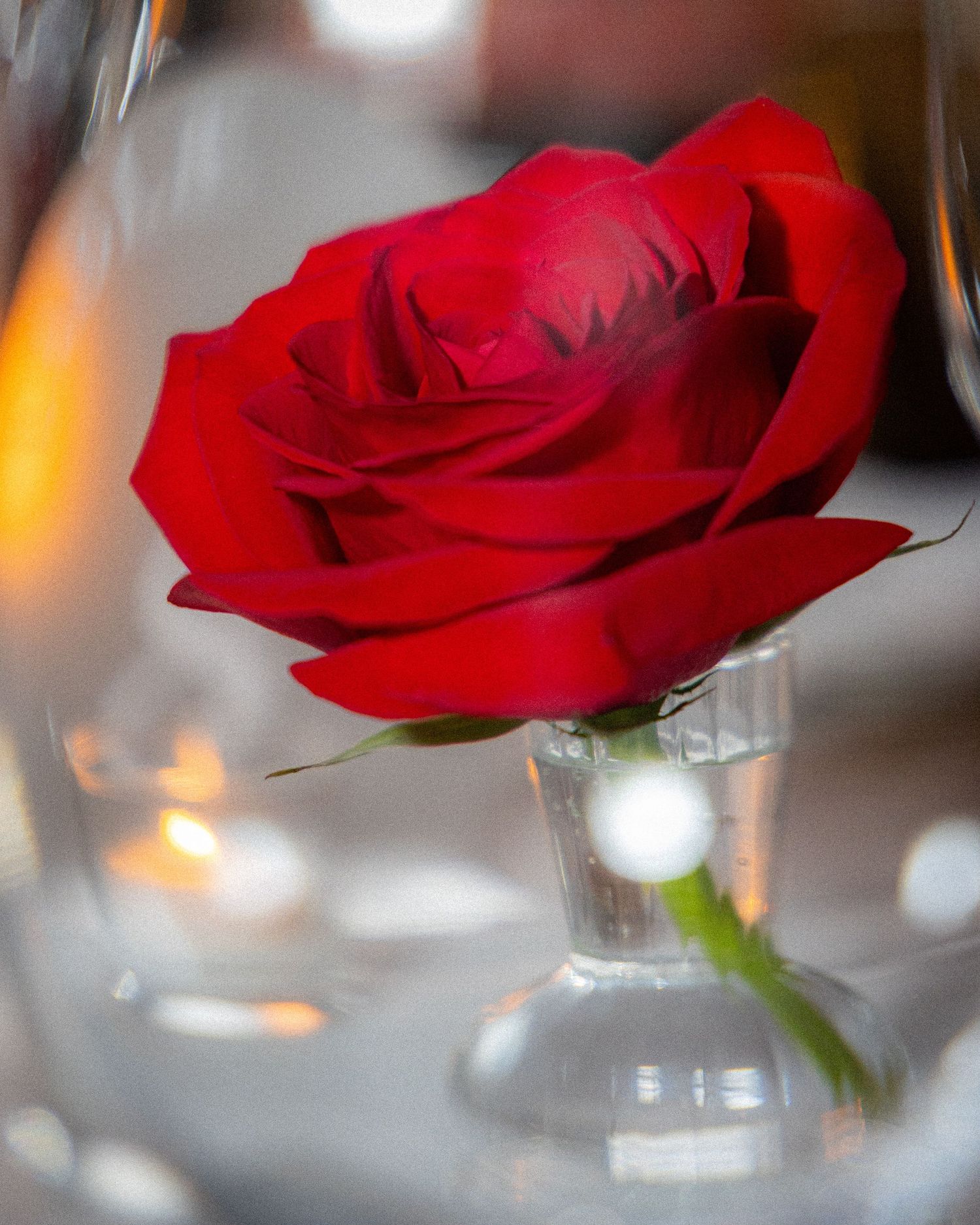 A row of vibrant red roses in glass vases with blurred candlelight creating a romantic table setting.