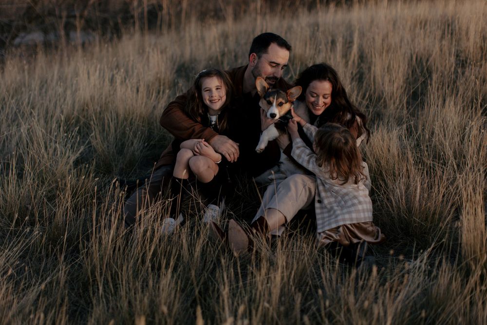 A family shares laughter while sitting together in tall golden grass during a sunset photoshoot.