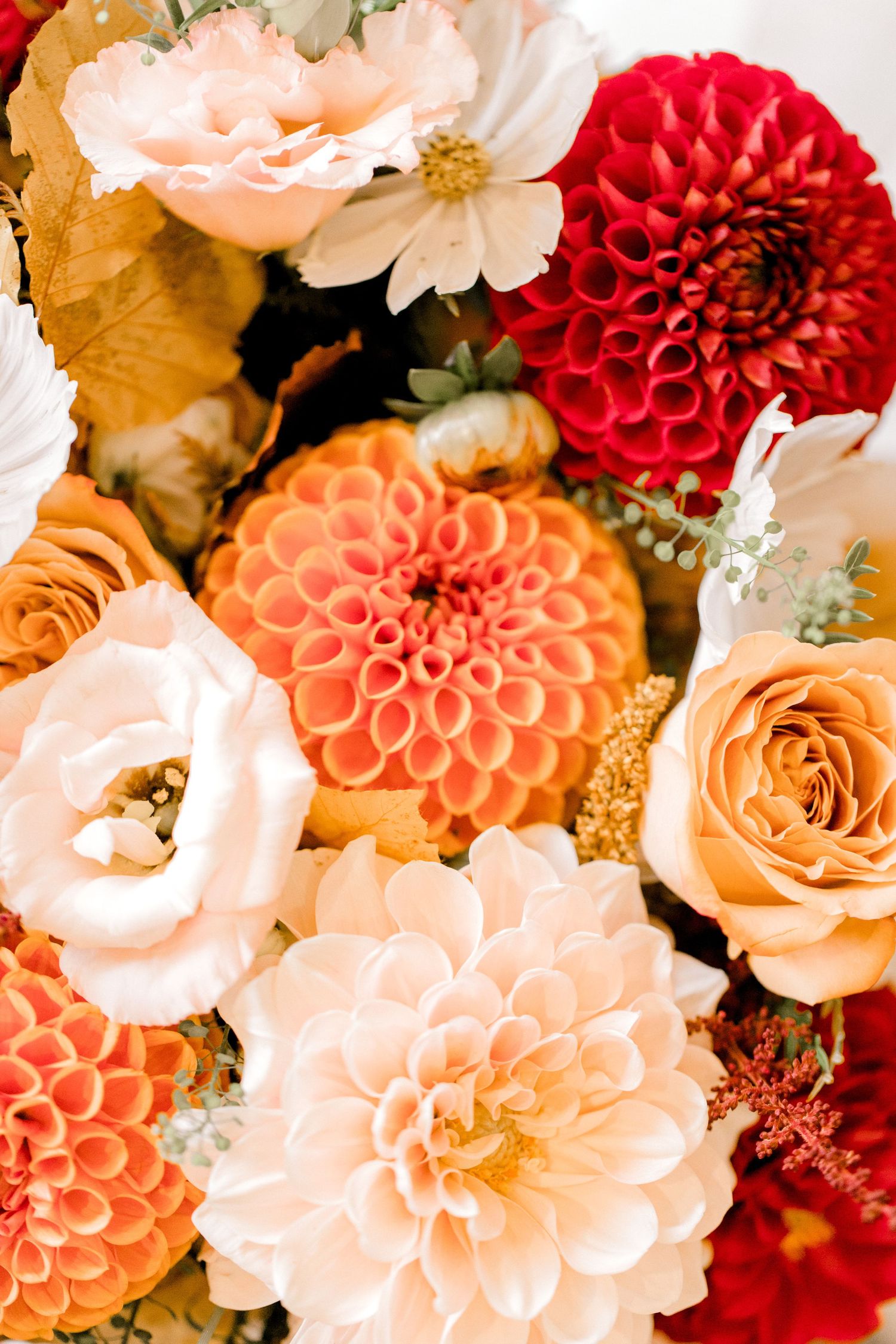 Close-up of lush floral arrangement with coral dahlias, peach roses and white blooms.