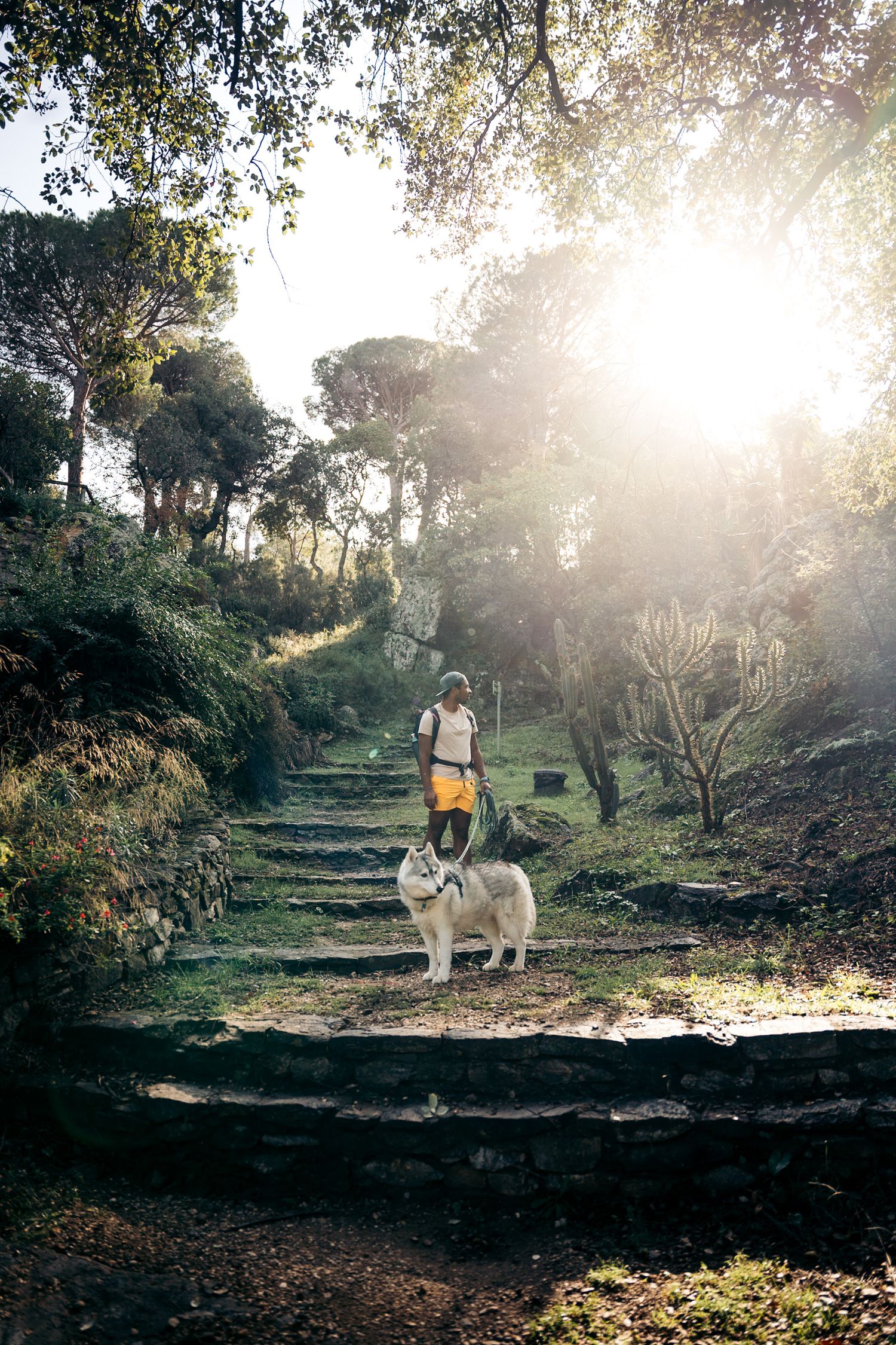 Promeneur avec son chien dans le parc du chateau de Valmy à Argelès-sur-mer