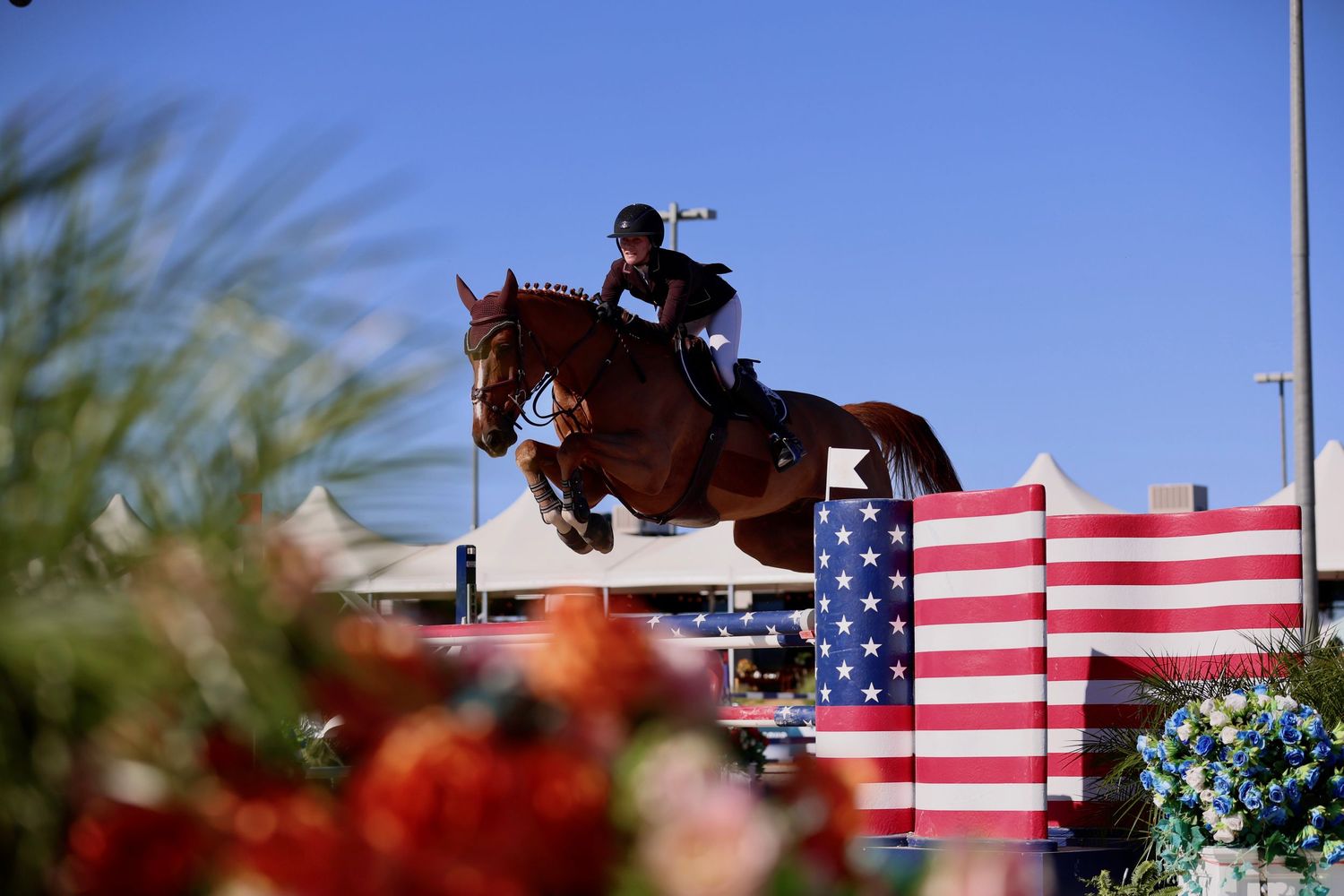 Horse jumping over USEF American flag fence at a competition against a blue sky, plants in the foreground
