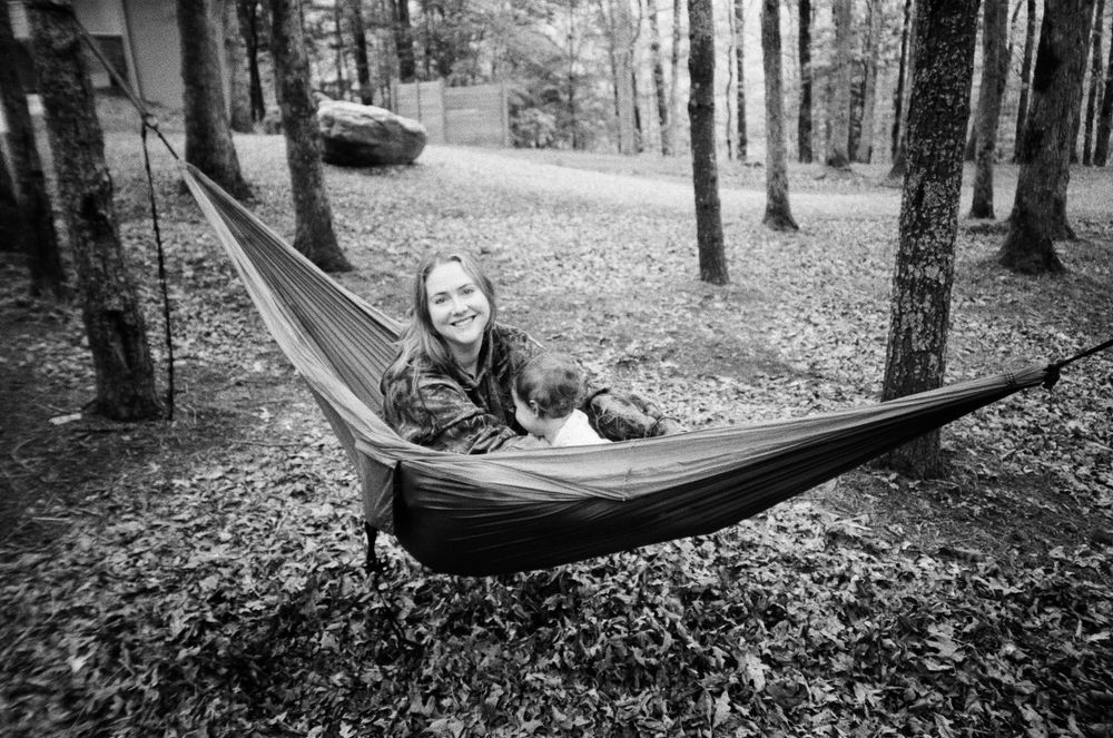 A hammock hangs between trees in a peaceful forest setting with fallen autumn leaves on the ground.