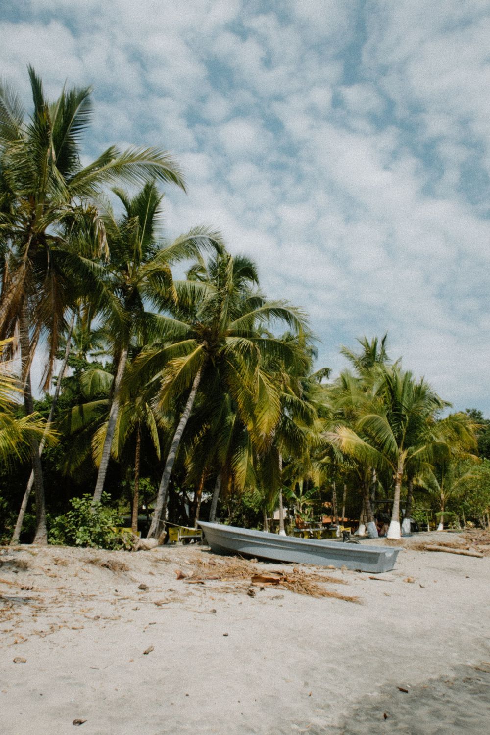 Palm trees line a tropical beach with white sand and cloudy skies creating a serene coastal landscape.