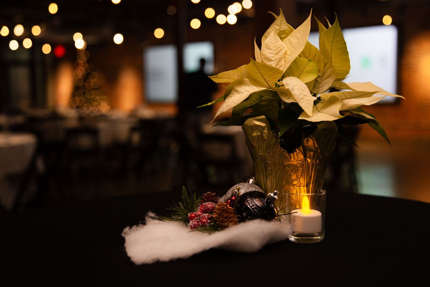 Affordable Charlotte event photographer |
Professional event photography |
Celebration photography services |
Corporate event photography |