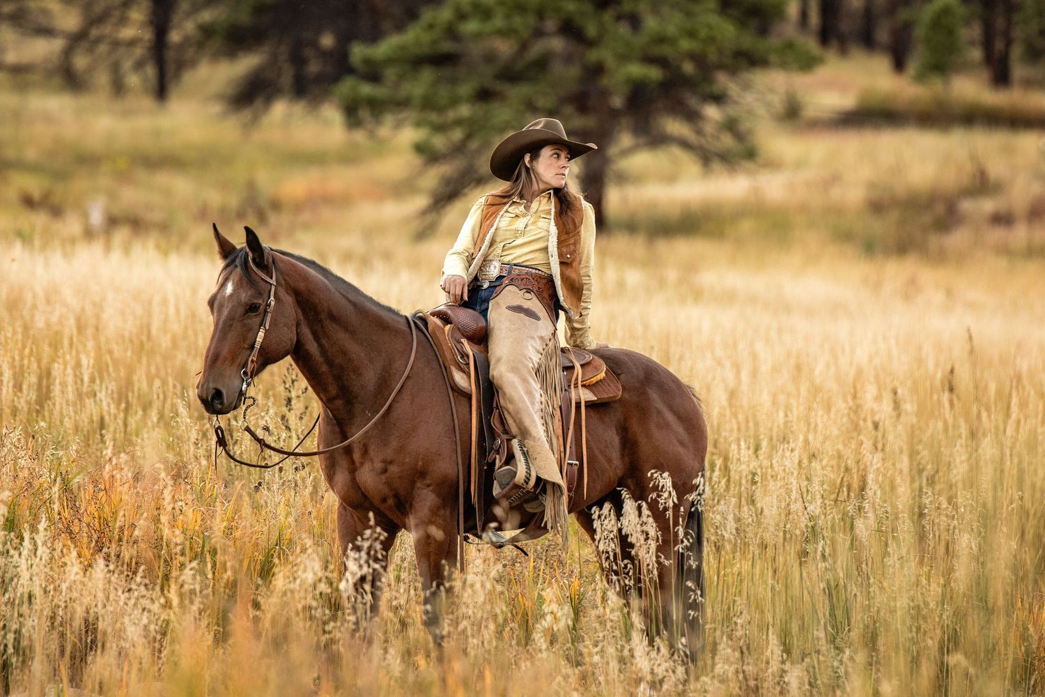 Horse and rider traverse through tall golden grass in a scenic mountain meadow.