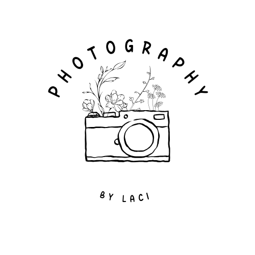 Small glowing mushrooms illuminate against a dark black background creating a mystical silhouette effect.