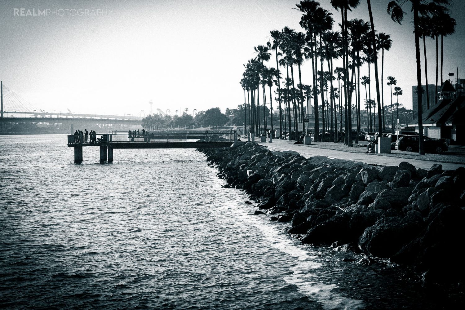 Palm tree lined waterfront with rock jetty extending into harbor at sunset.