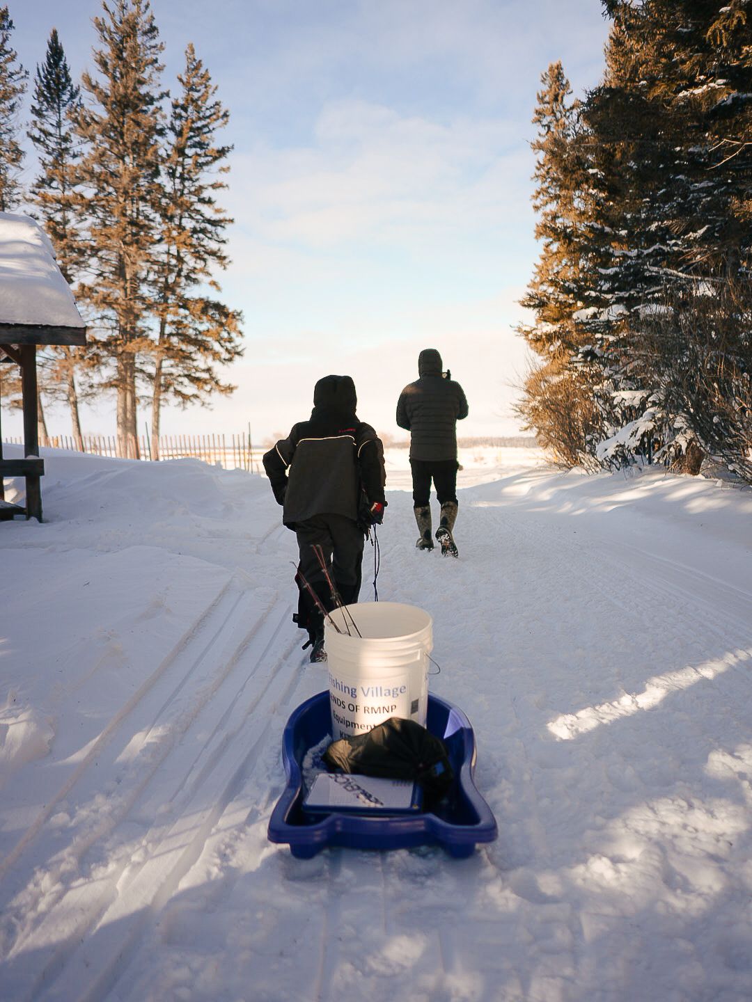 People pulling blue sleds through snowy terrain with tall pine trees.