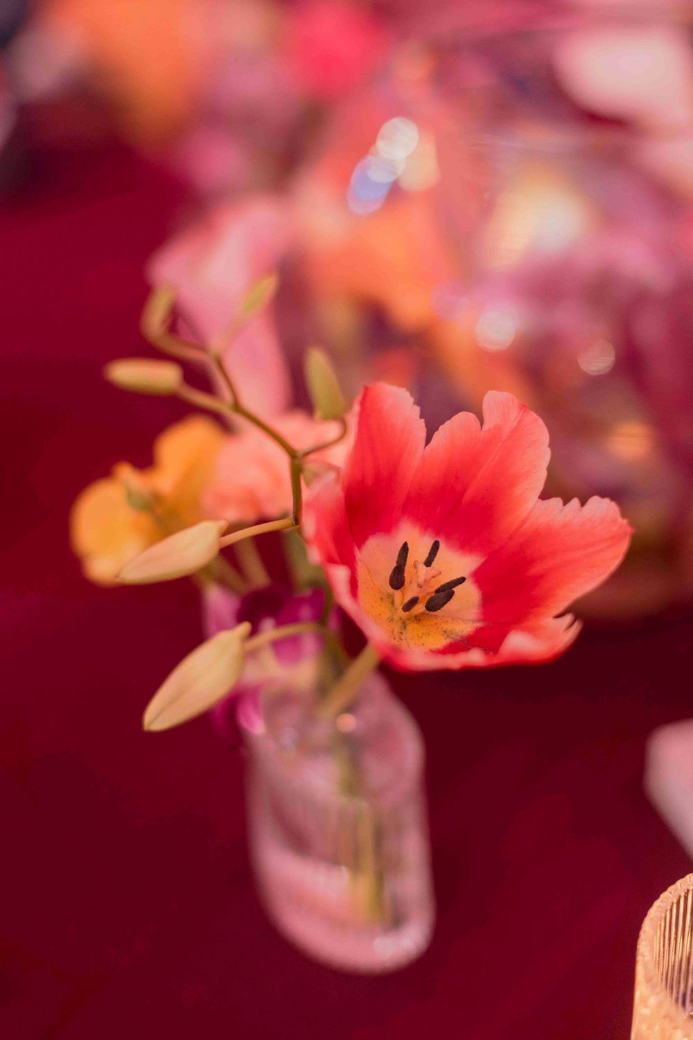 Vibrant red tulip and orange freesia in a glass bud vase against a rich crimson tablecloth at a gala event.