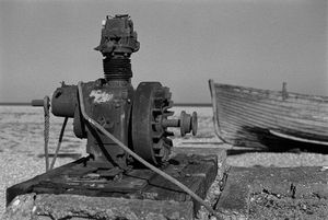 Dungeness
