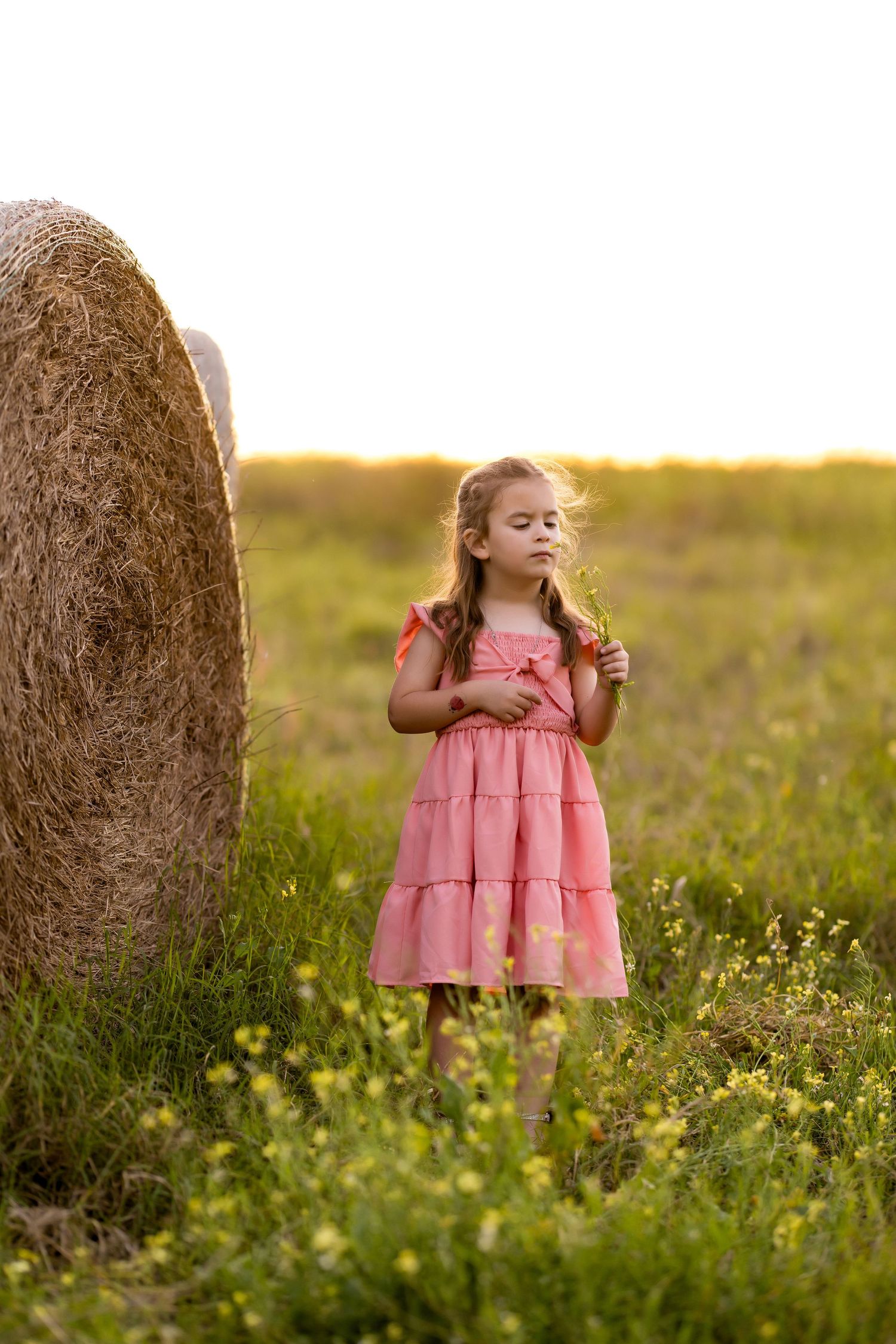 Pink dress contrasts with rustic hay bale in golden evening meadow.