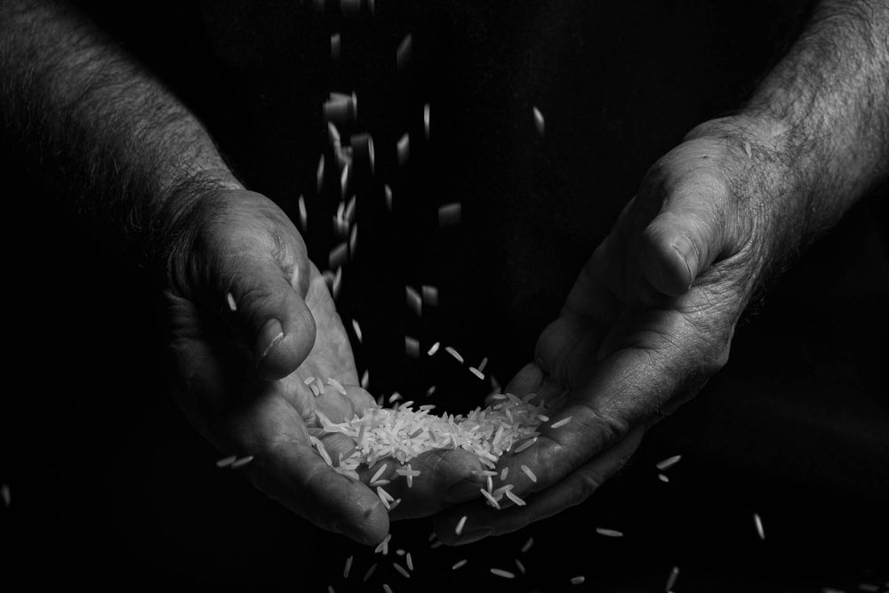 Close-up black and white shot of hands scattering rice or seeds in a dark setting.
