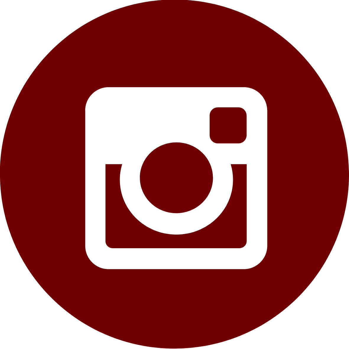 Icona di Instagram di colore bianco dentro un cerchio rosso
