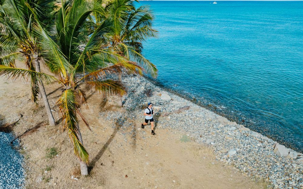 Aerial view of a secluded tropical beach with palm trees and turquoise waters along a rocky shoreline.