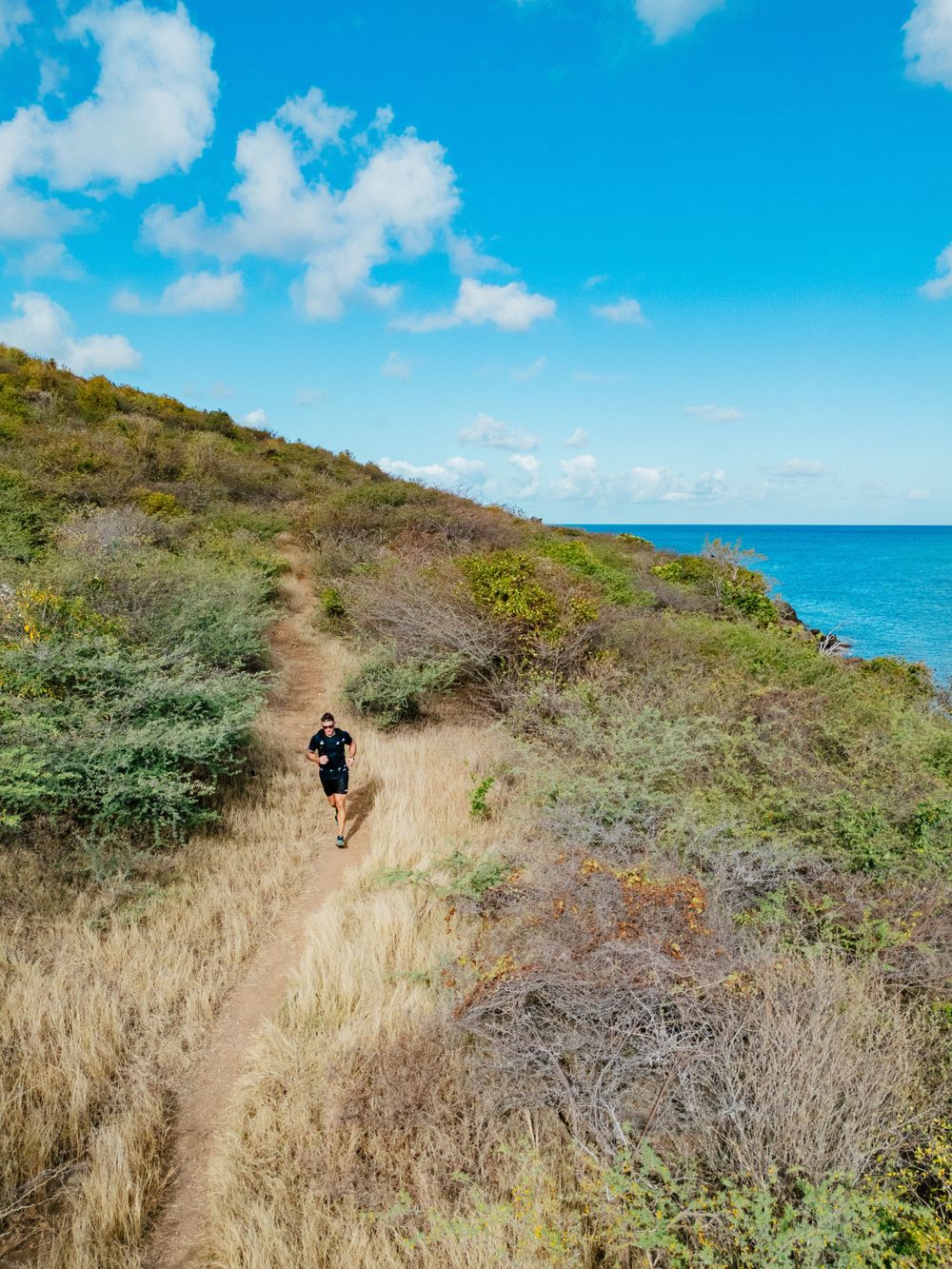 A hiker follows a scenic coastal trail along a rugged hillside with turquoise ocean waters and blue skies in view.