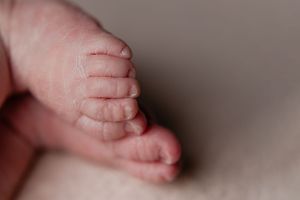 Close-up macro photograph of tiny baby feet with soft pink skin against a neutral gray background.