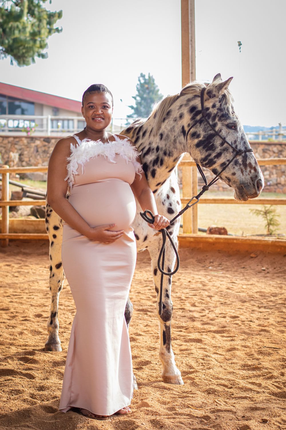 A maternity photo with a spotted horse in a sandy arena with wooden fencing.
