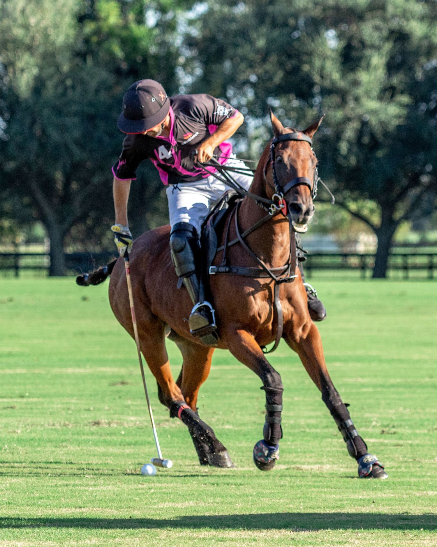Polo