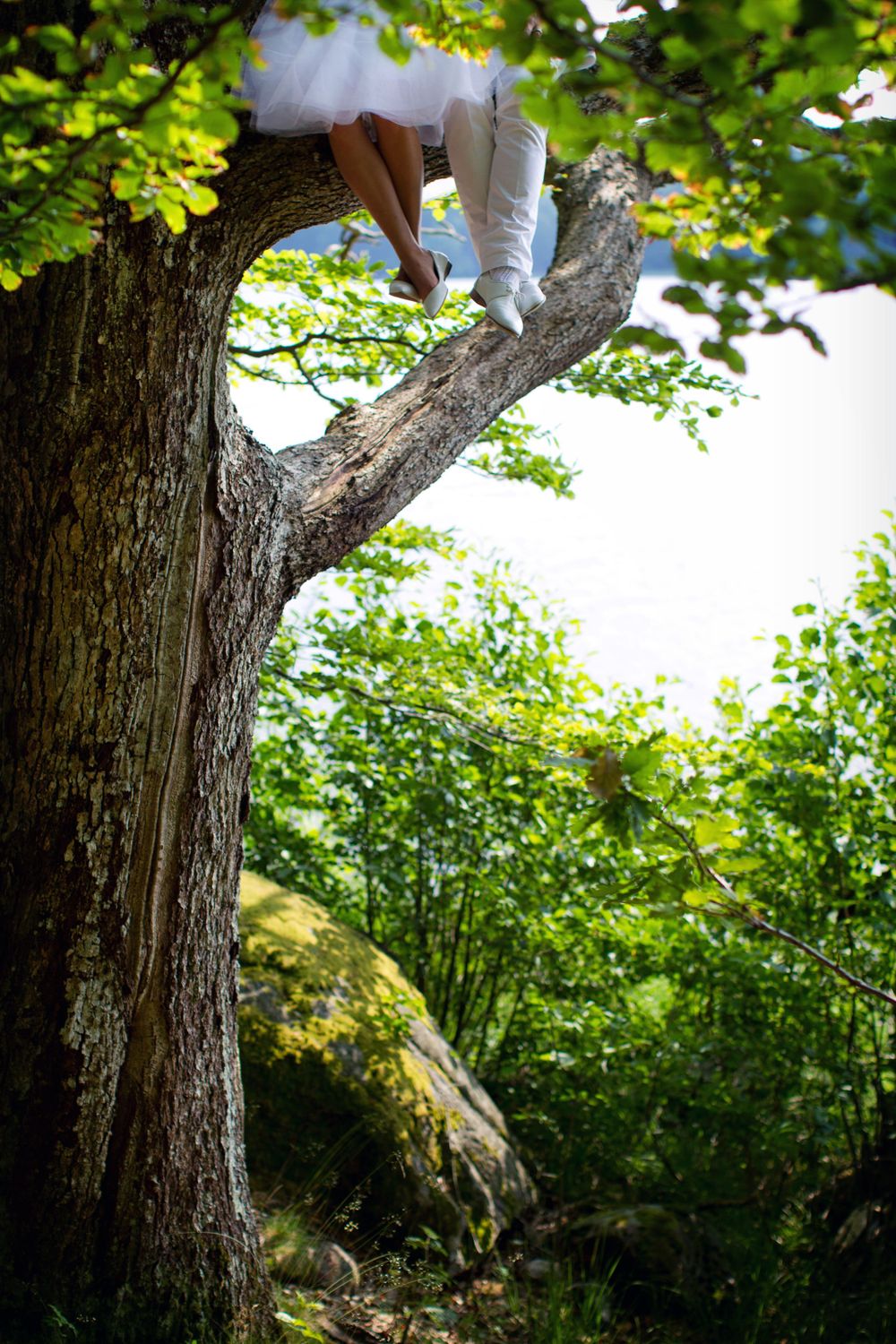 White wedding dress and legs visible sitting on a large tree branch in a sunlit forest.