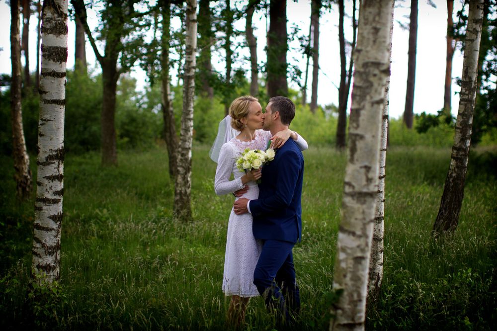 Romantic couple embracing among birch trees in a dreamy summer field.
