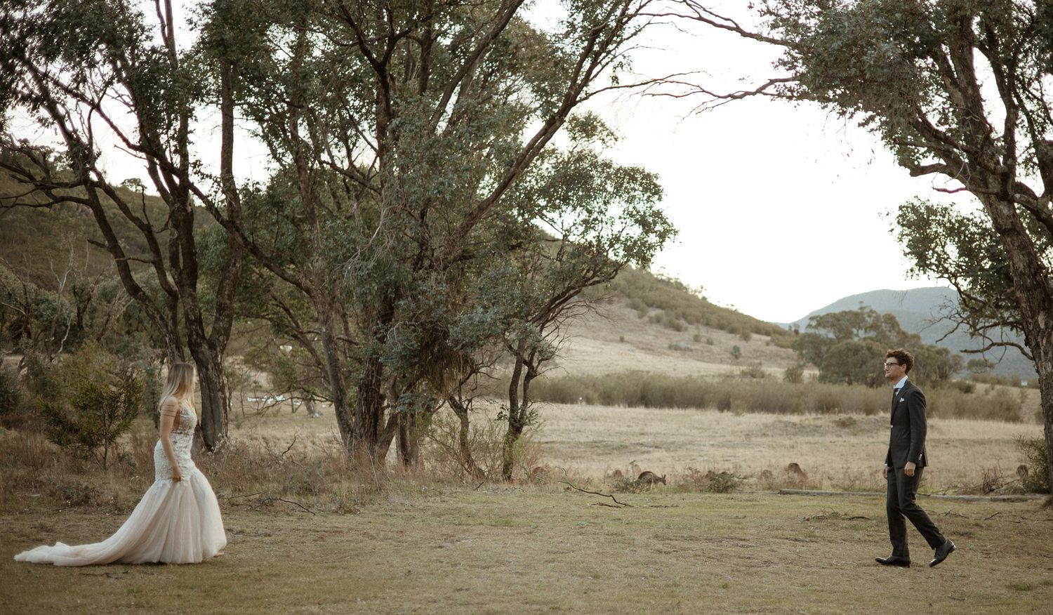 A couple in wedding attire stand apart in a scenic field with trees.